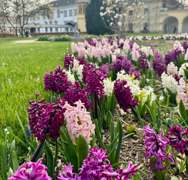 Státní zámek Lysice